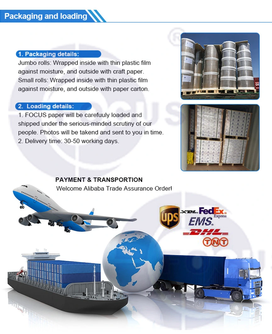 Rollo enorme termal 70GSM 75GSM del etiquetado de envío de Eco de la etiqueta termal 5