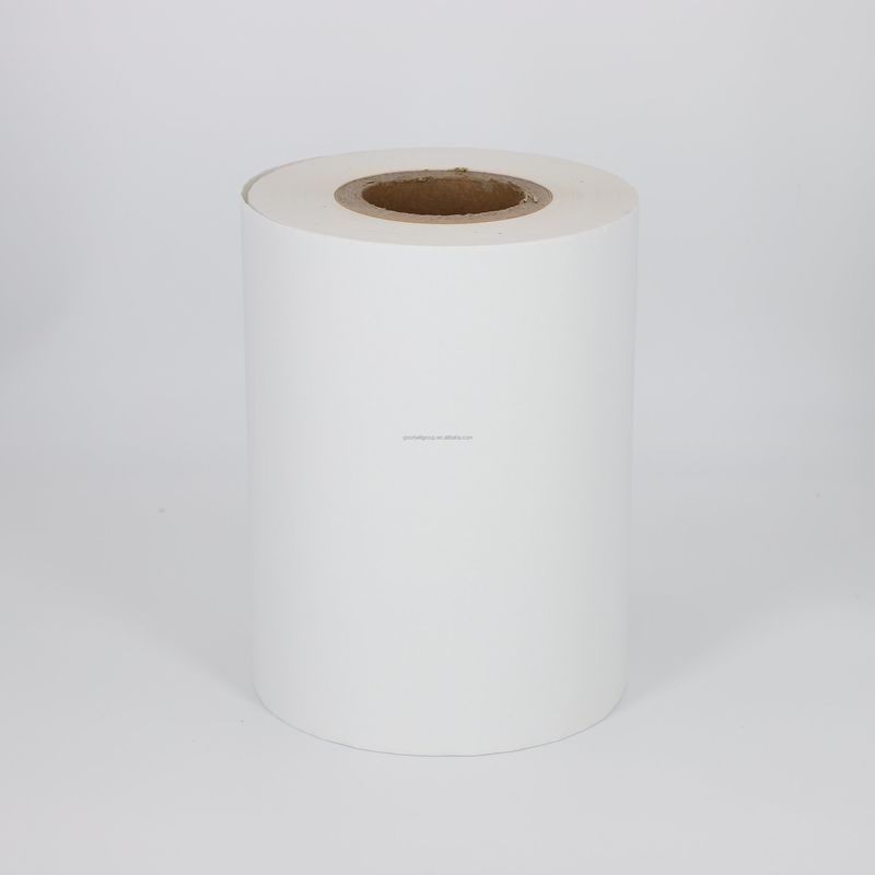 45g 48g Thermal Paper Jumbo Roll Black Image
