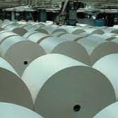 Etiqueta térmica de impresora personalizada Jumbo Roll libre de BPA