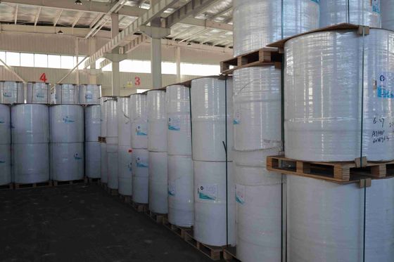 BPA Free Focus Brand Thermal Paper High Smoothness Suitable Optical Density 100% Imported Wood Pulp