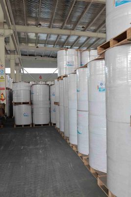 Direct Thermal Print Technology Thermal Label Paper Roll Black Image ≥5 Years Image Life For Easy Label Printing Services