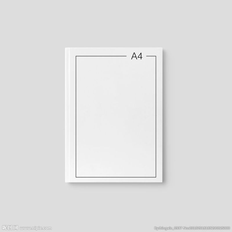 Wood Pulp Double 75g 80g 100g A4 Printer Color Copy Paper For Office Printing