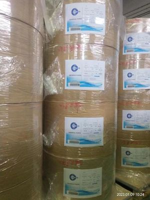 FSC Papel térmico Jumbo revestido de madera virgen de celulosa para el puesto de venta