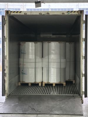 FOCUS Prime 100% de pasta de madera virgen importada 45 g/48 g/50 g/55 g/65 g Papel térmico Jumbo Rolls