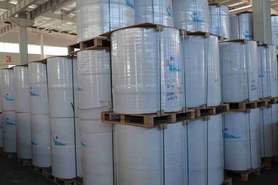 Papel térmico libre de BPA, 100% de madera virgen importada, alta suavidad, fuerte tensión, larga vida útil de las imágenes